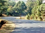 Konkan Roads Information
